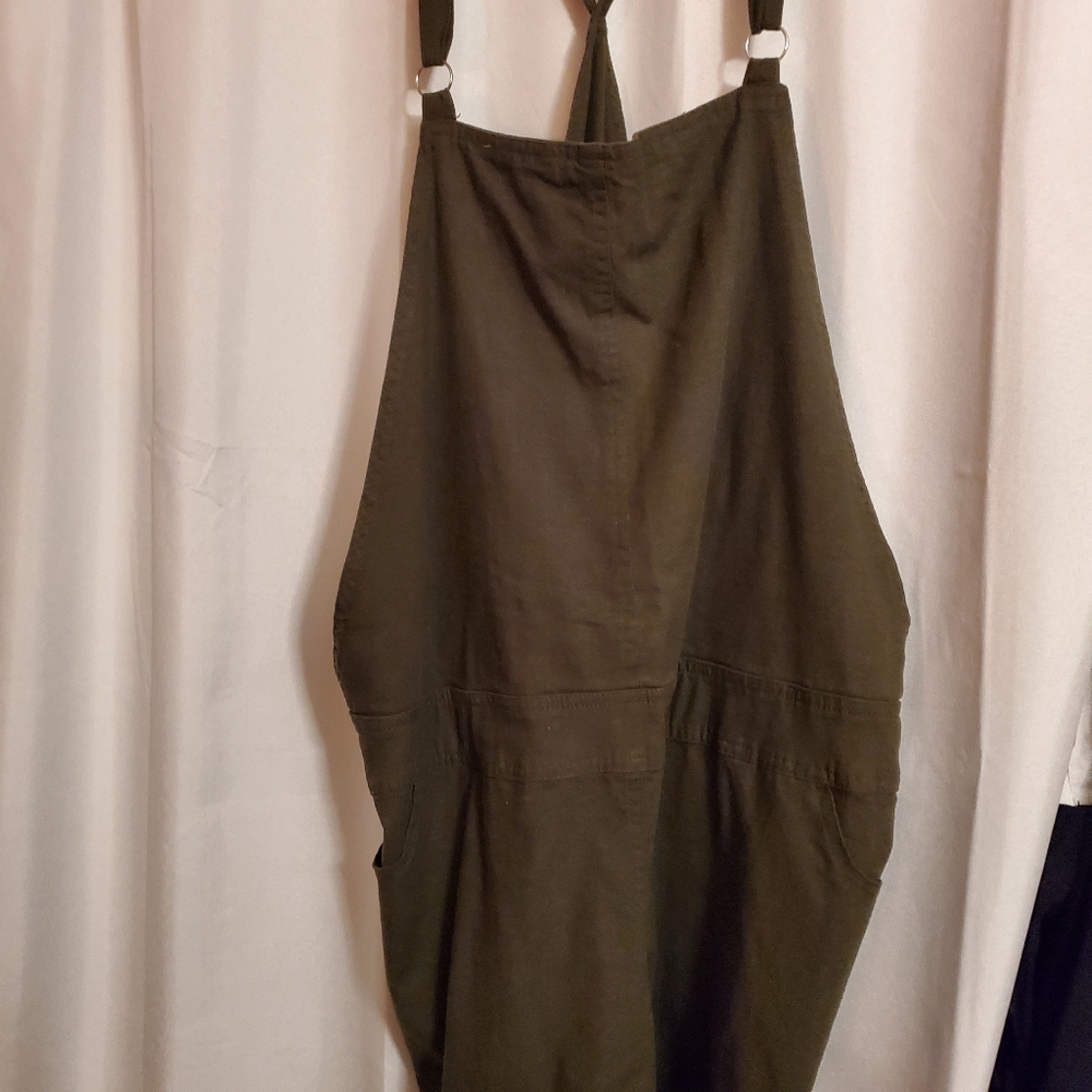 NWT Torrid Shortall